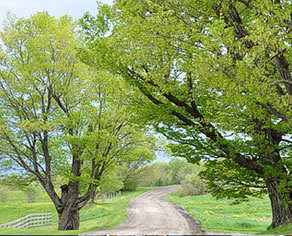 dirt-road