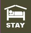 stay