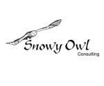 Snowy Owl Consulting